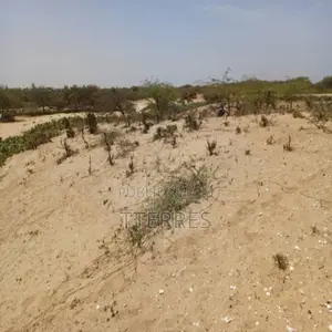Terrain Agricole De 5 Hectares Vers Kab Gaye – Louga