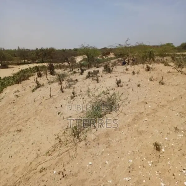 Terrain Agricole De 5 Hectares Vers Kab Gaye – Louga