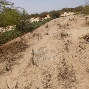 Terrain Agricole De 5 Hectares Vers Kab Gaye – Louga