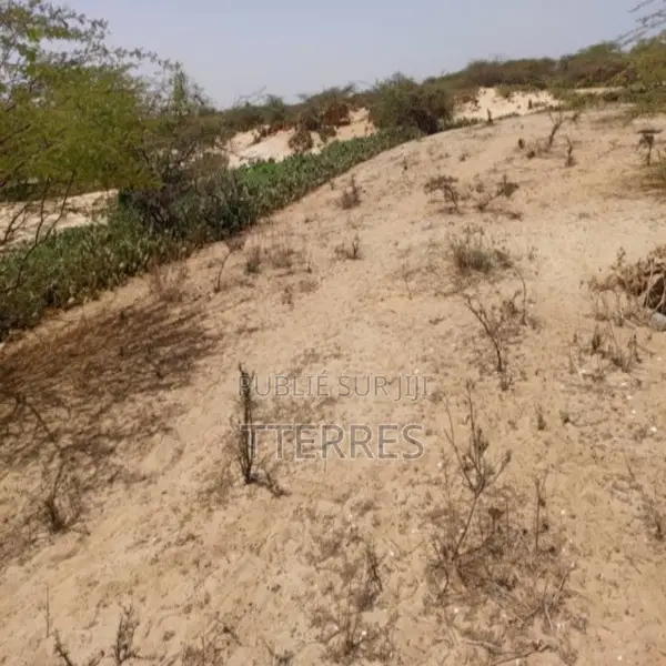 Terrain Agricole De 5 Hectares Vers Kab Gaye – Louga