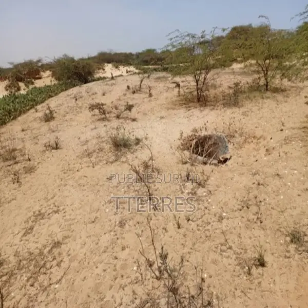 Terrain Agricole De 5 Hectares Vers Kab Gaye – Louga
