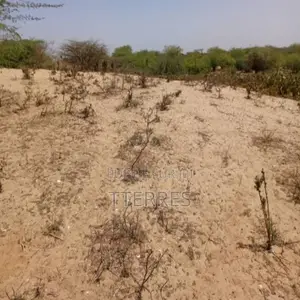 Terrain Agricole De 3 Hectares Vers Kab Gaye – Louga