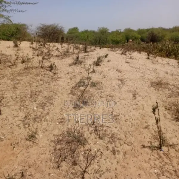 Terrain Agricole De 3 Hectares Vers Kab Gaye – Louga