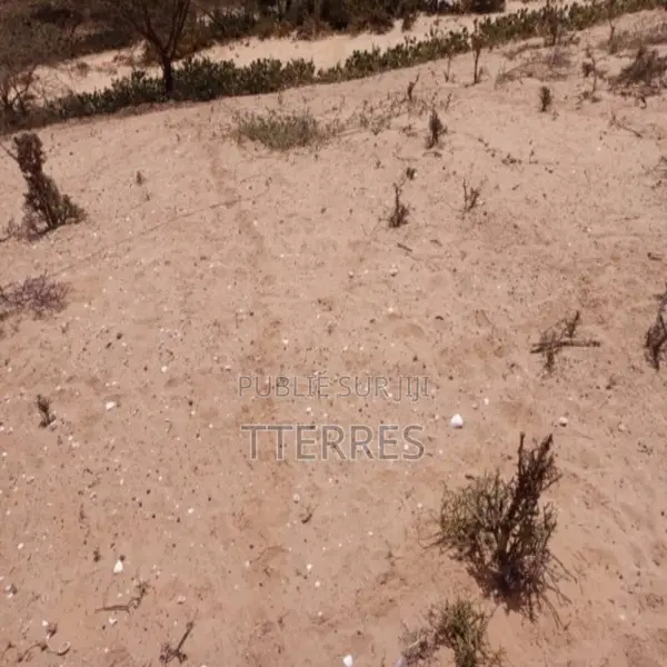 Terrain Agricole De 3 Hectares Vers Kab Gaye – Louga