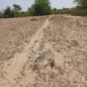 Terrain Agricole De 1513 M2 Vers Diama – Saint – Louis