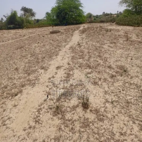 Terrain Agricole De 1513 M2 Vers Diama – Saint – Louis