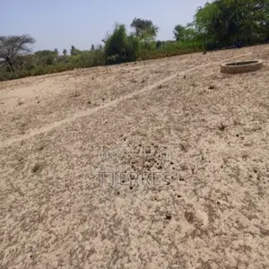Terrain Agricole De 1513 M2 Vers Diama – Saint – Louis