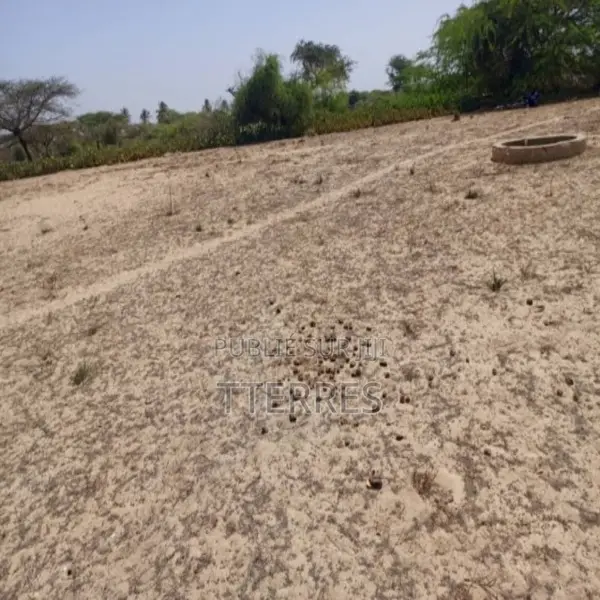 Terrain Agricole De 1513 M2 Vers Diama – Saint – Louis