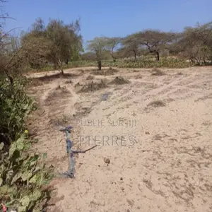 Terrain Agricole De 1513 M2 Vers Diama – Saint – Louis