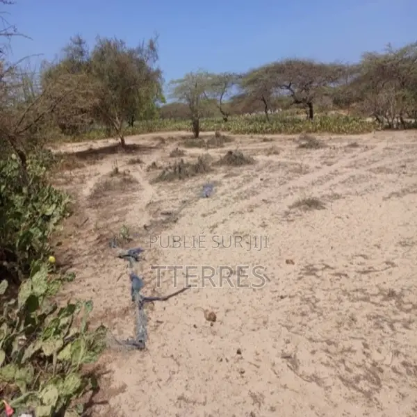 Terrain Agricole De 1513 M2 Vers Diama – Saint – Louis