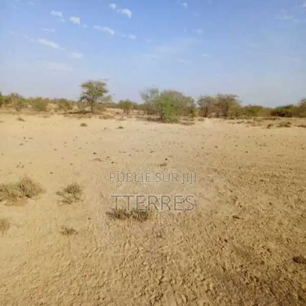 Location De Terrain Agricole De 3,48 Ha Vers Diama – Saint – Louis