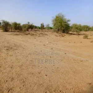 Location De Terrain Agricole De 3,48 Ha Vers Diama – Saint – Louis
