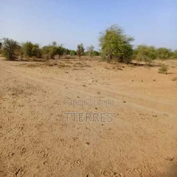 Location De Terrain Agricole De 3,48 Ha Vers Diama – Saint – Louis