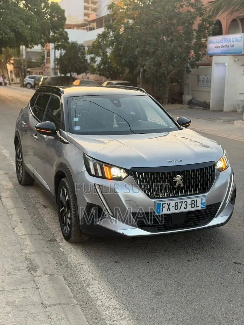 Peugeot 2008 2021 Gris