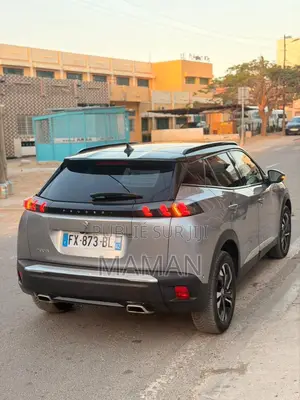 Peugeot 2008 2021 Gris