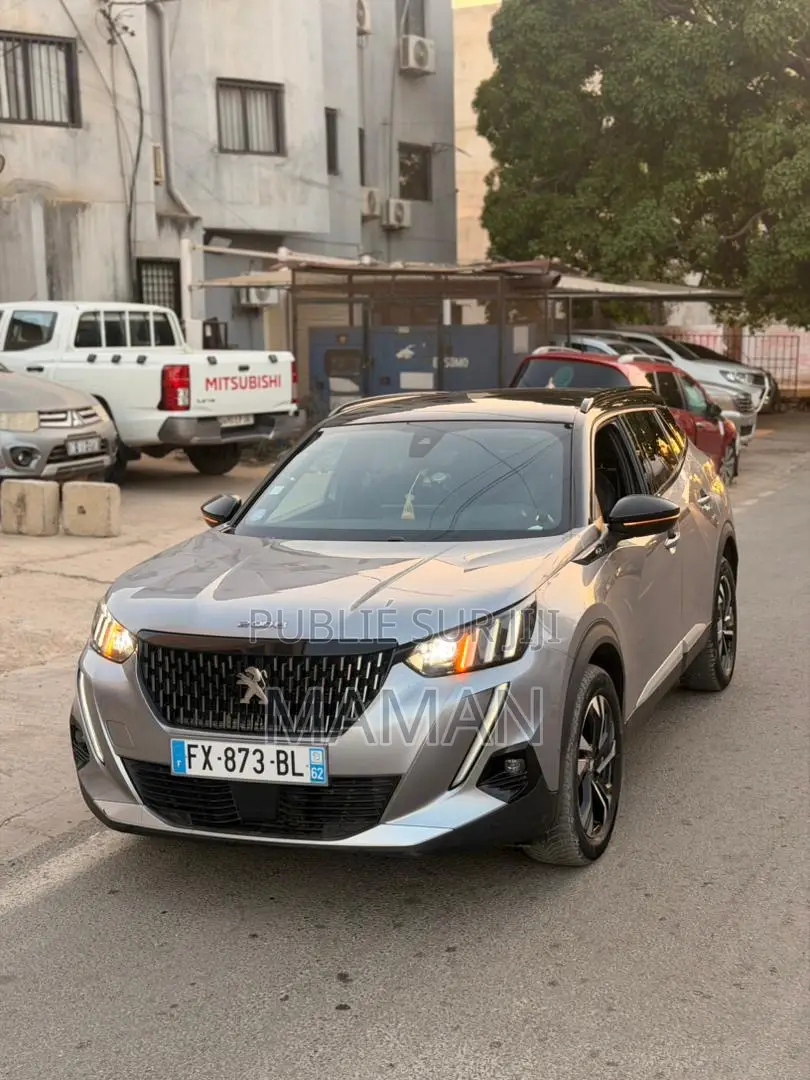 Peugeot 2008 2021 Gris