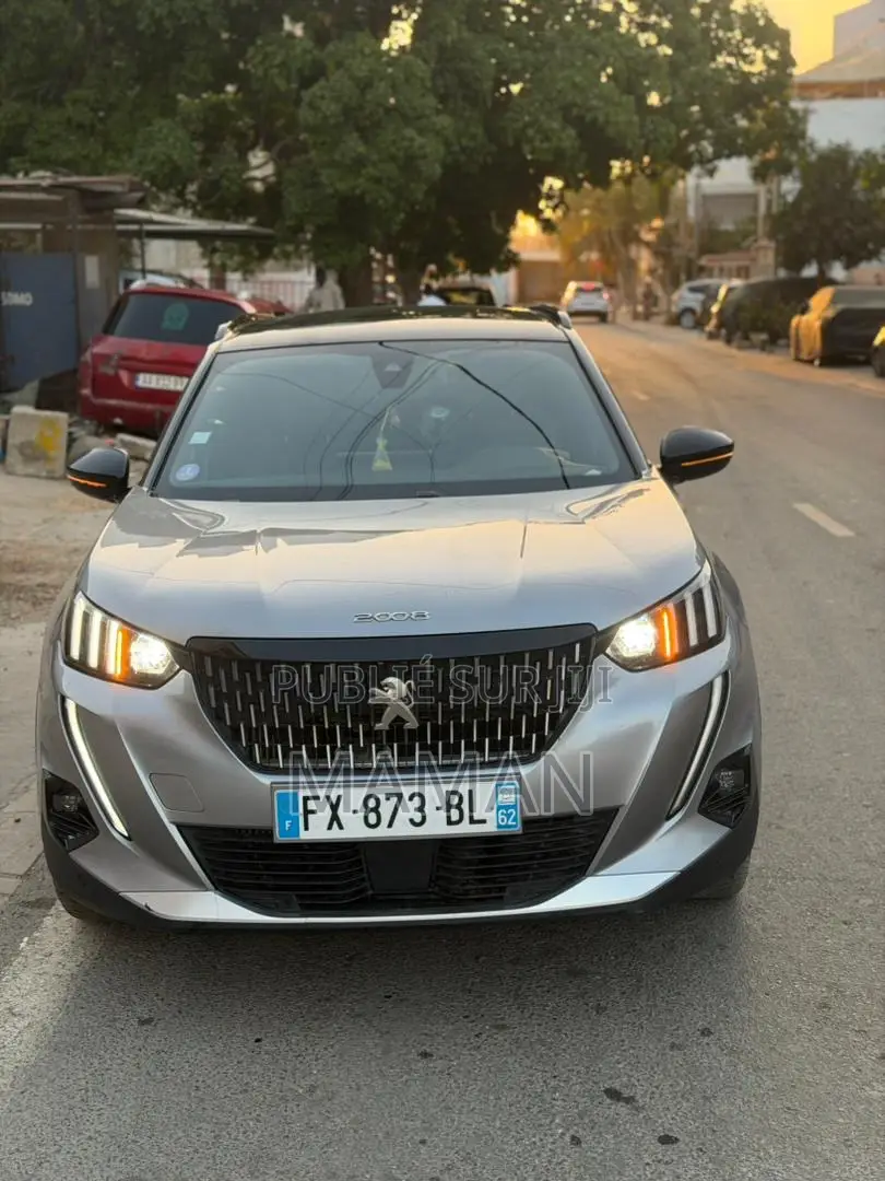 Peugeot 2008 2021 Gris