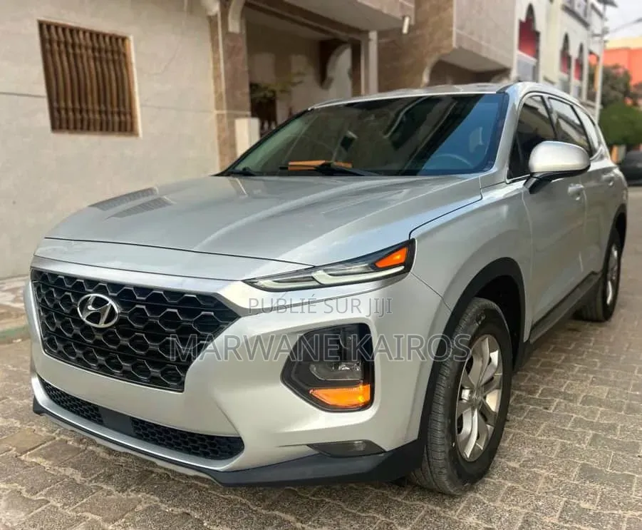 Hyundai Santa Fe 2019 Gris