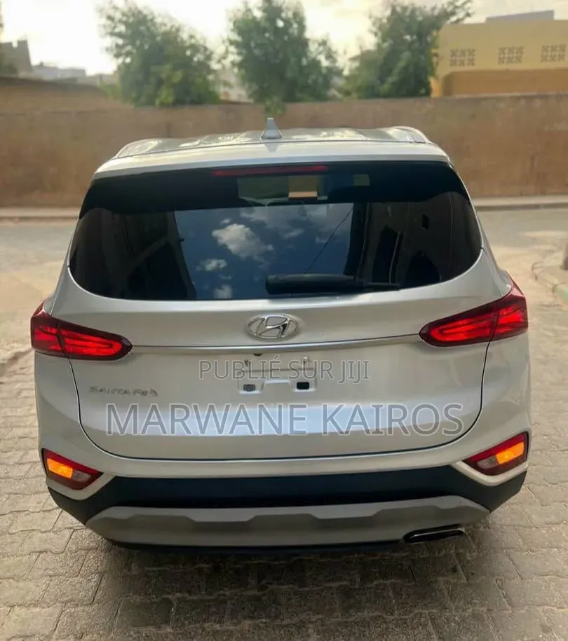 Hyundai Santa Fe 2019 Gris