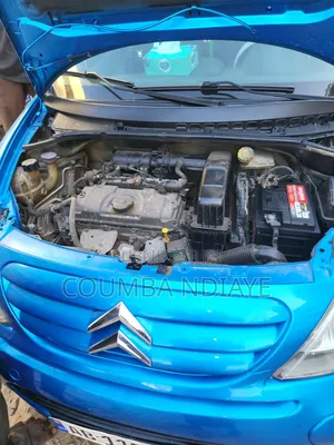 Citroen C3 2009 Bleu