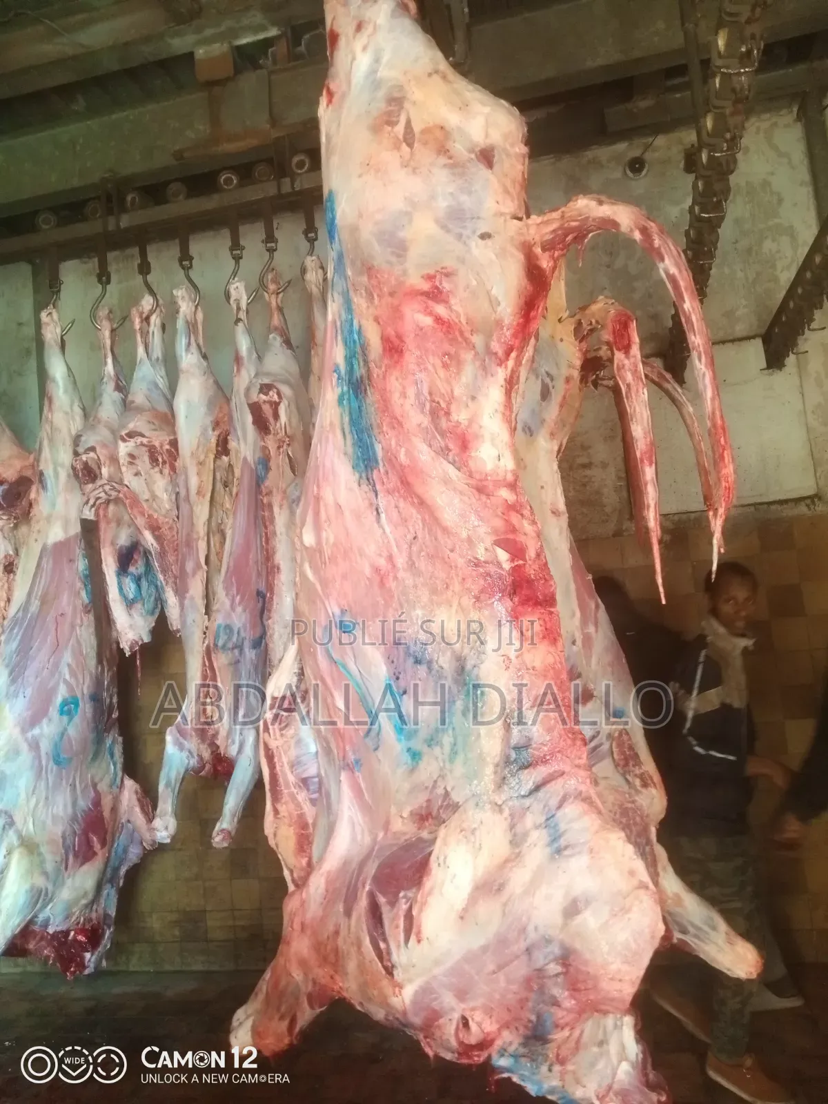 Je Vends De La Viande Et Poulet
