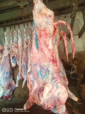 Je Vends De La Viande Et Poulet