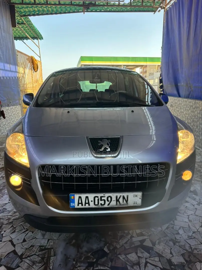 Peugeot 3008 2013 Gris