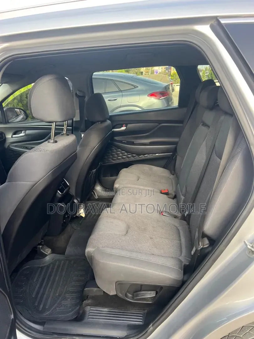 Hyundai Santa Fe 2020 Autre