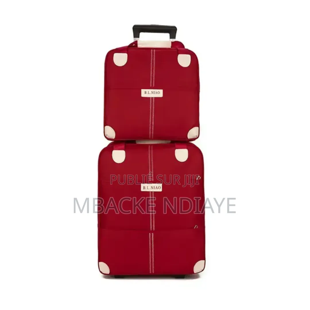Valise a Roulettes