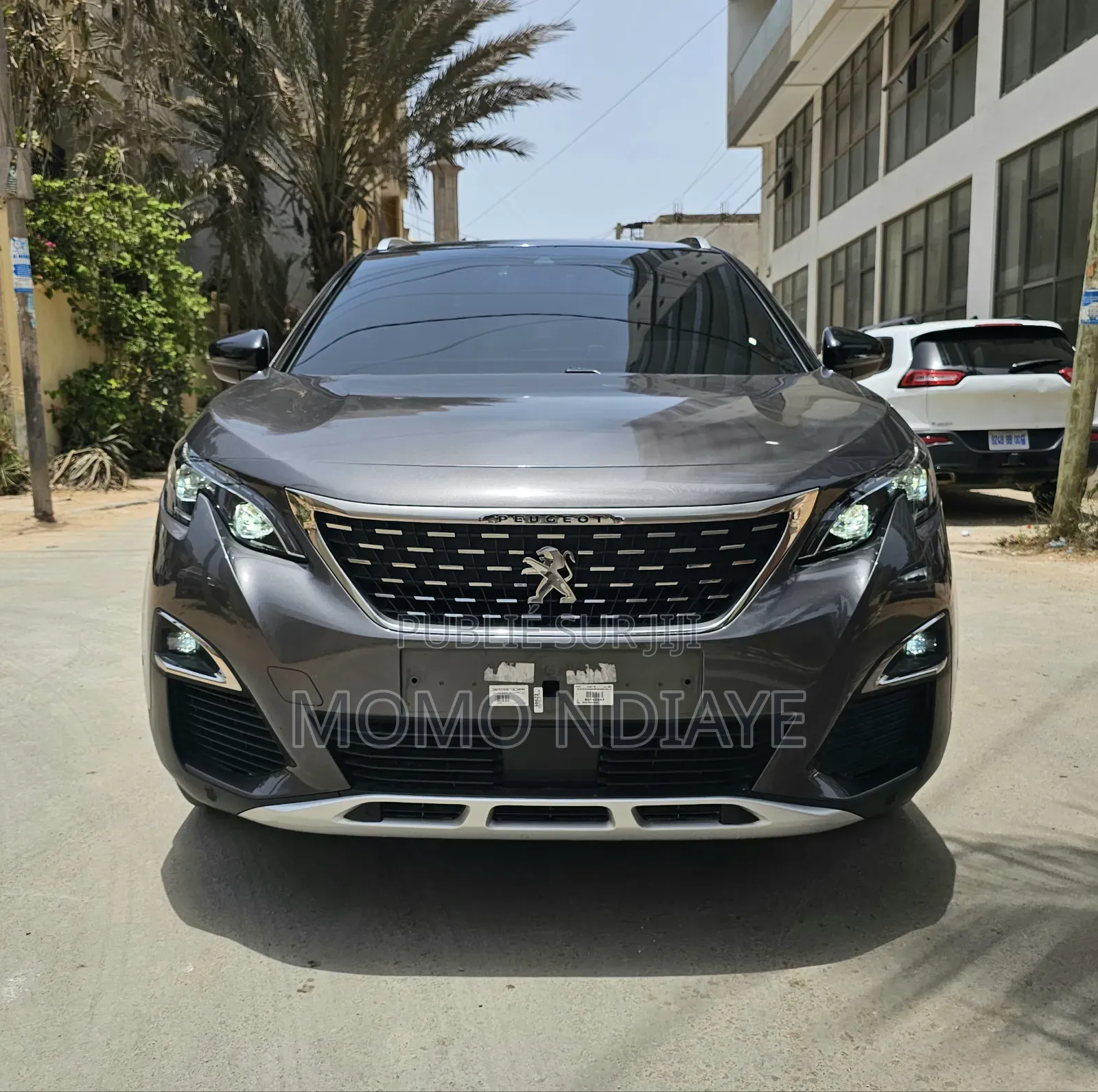Peugeot 3008 2018 Gris