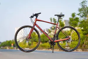 Bicyclette Cycliste Neuf