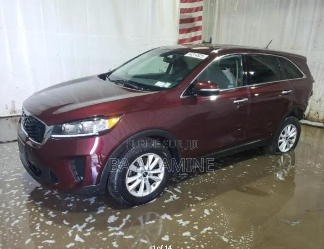 Kia Sorento 2019 Rouge