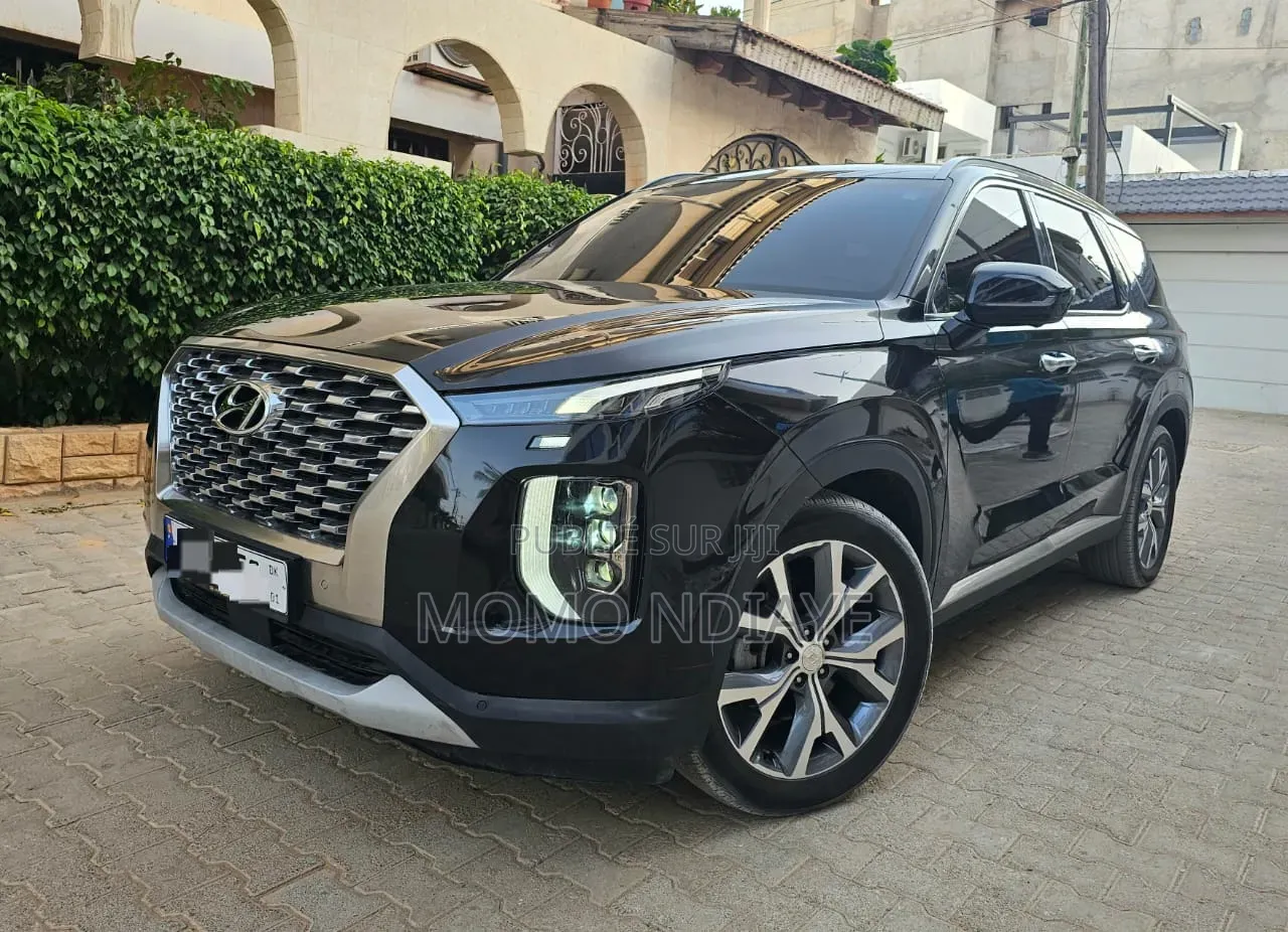 Hyundai Palissade 2019 Bleu