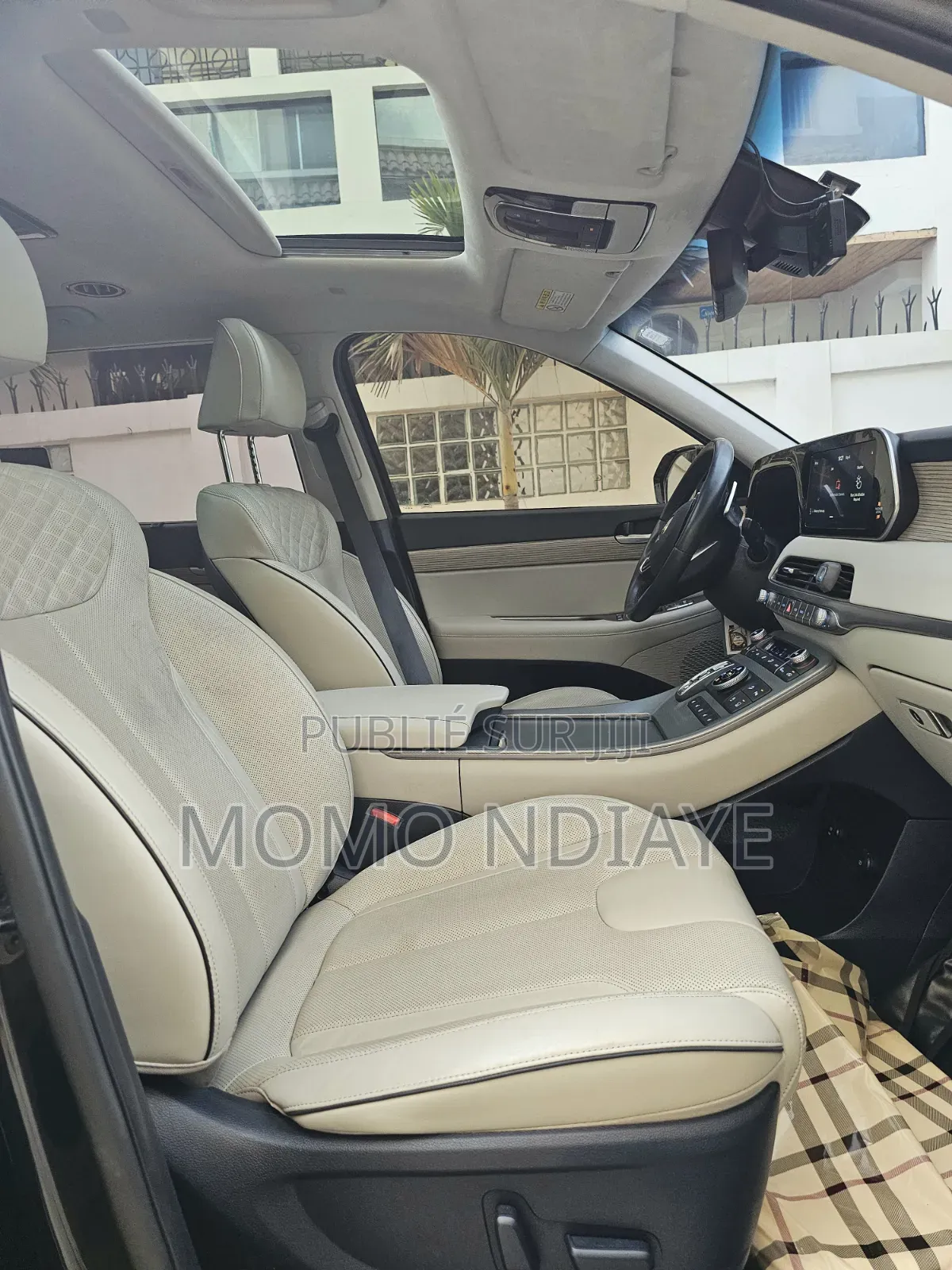 Hyundai Palissade 2019 Bleu