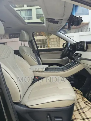 Hyundai Palissade 2019 Bleu