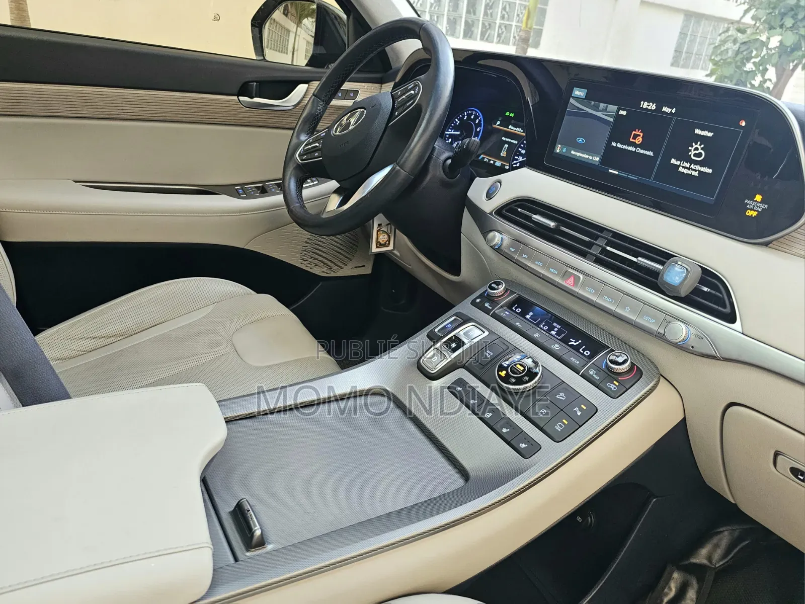 Hyundai Palissade 2019 Bleu