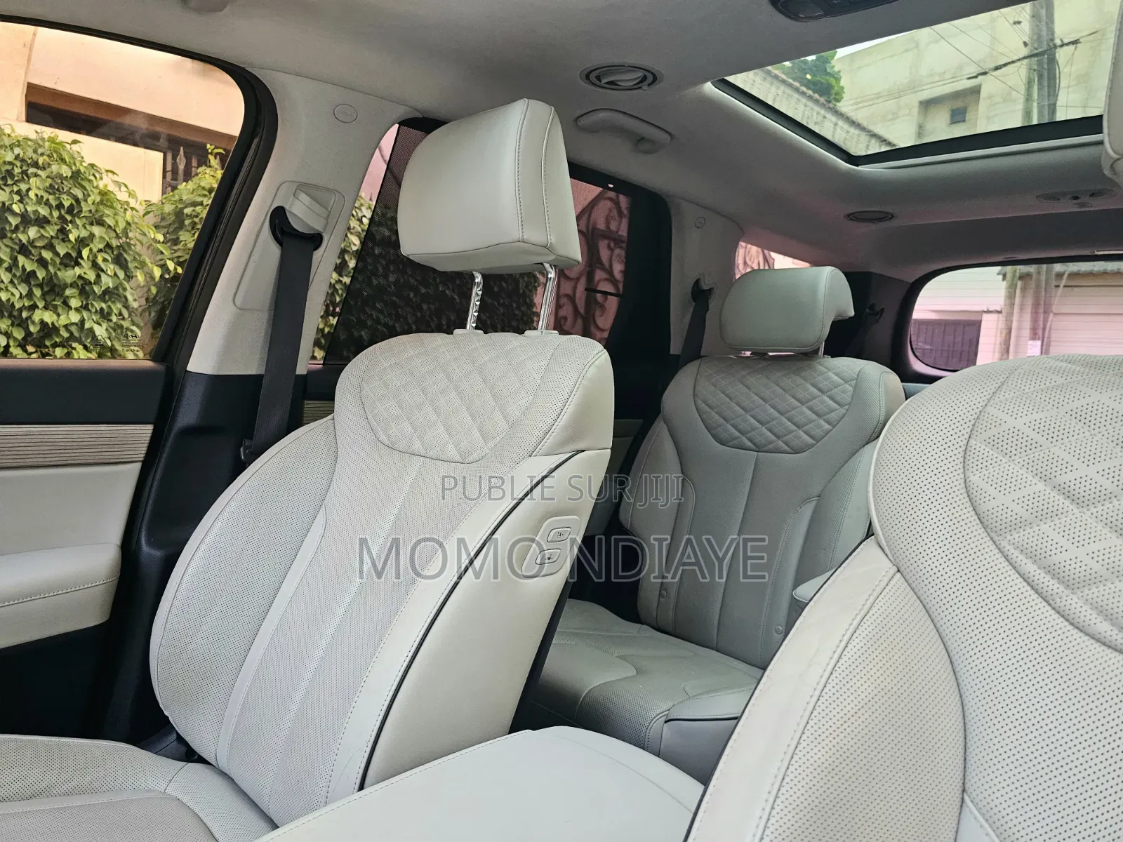 Hyundai Palissade 2019 Bleu