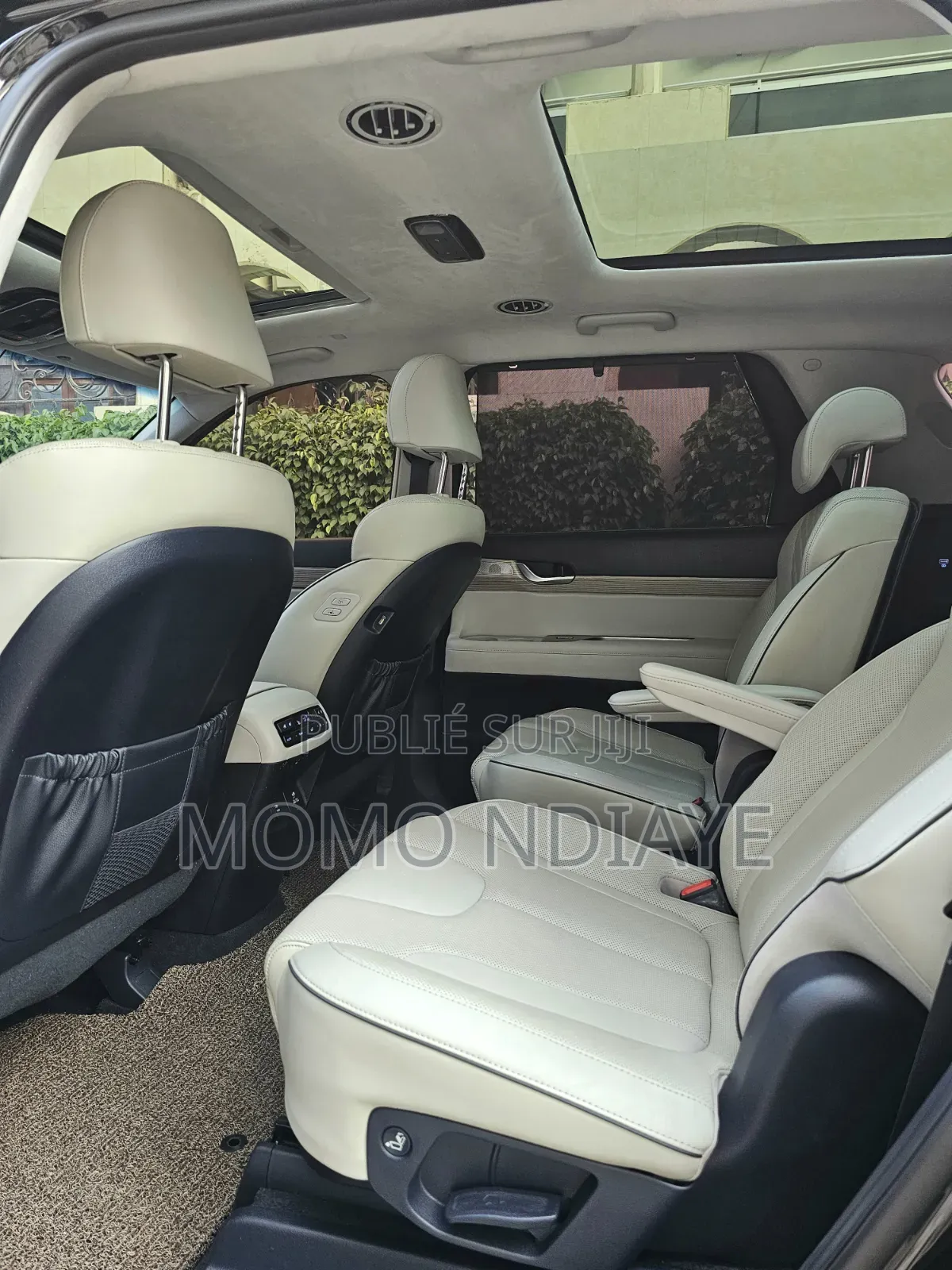 Hyundai Palissade 2019 Bleu