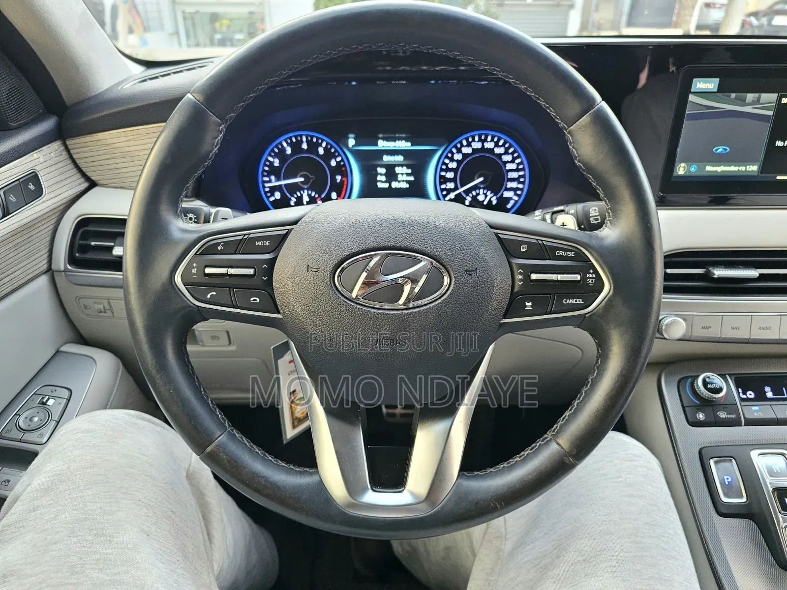 Hyundai Palissade 2019 Bleu