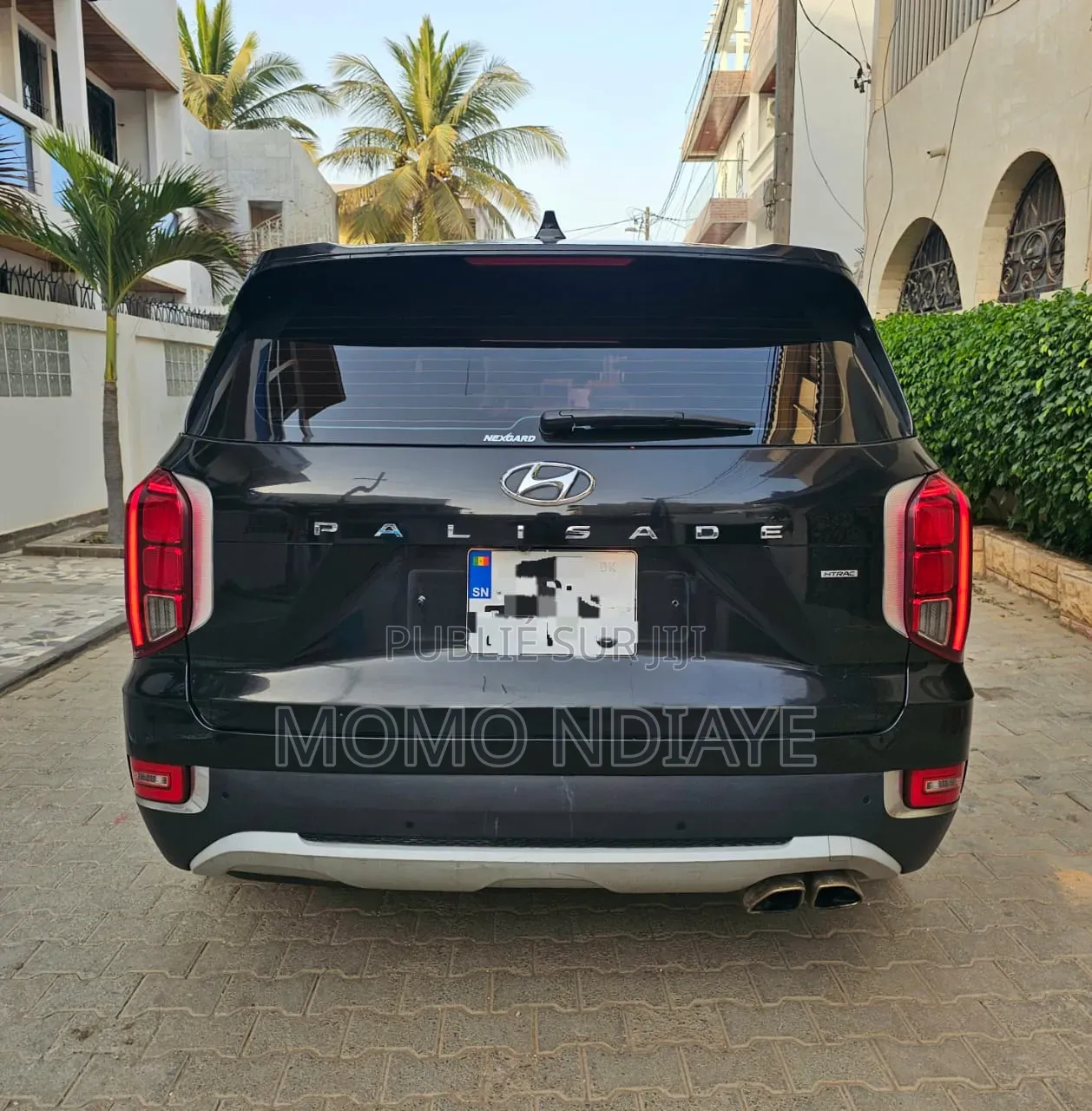 Hyundai Palissade 2019 Bleu