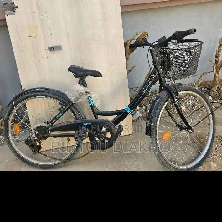 Un Tres Jolie Vélo Venant En Bonne Etat