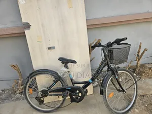 Un Tres Jolie Vélo Venant En Bonne Etat