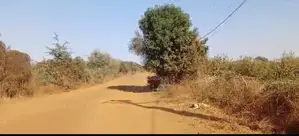 Verger À Vendre