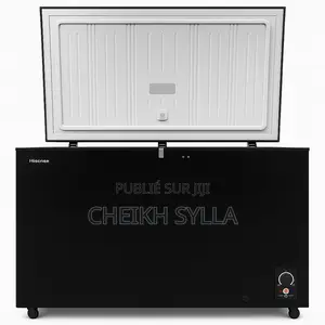 Congélateur Hisense 480l A+