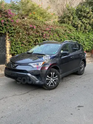 Toyota RAV4 2017 Marron