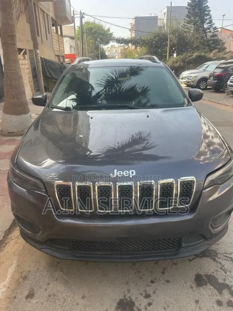 Jeep Cherokee 2019 Gris