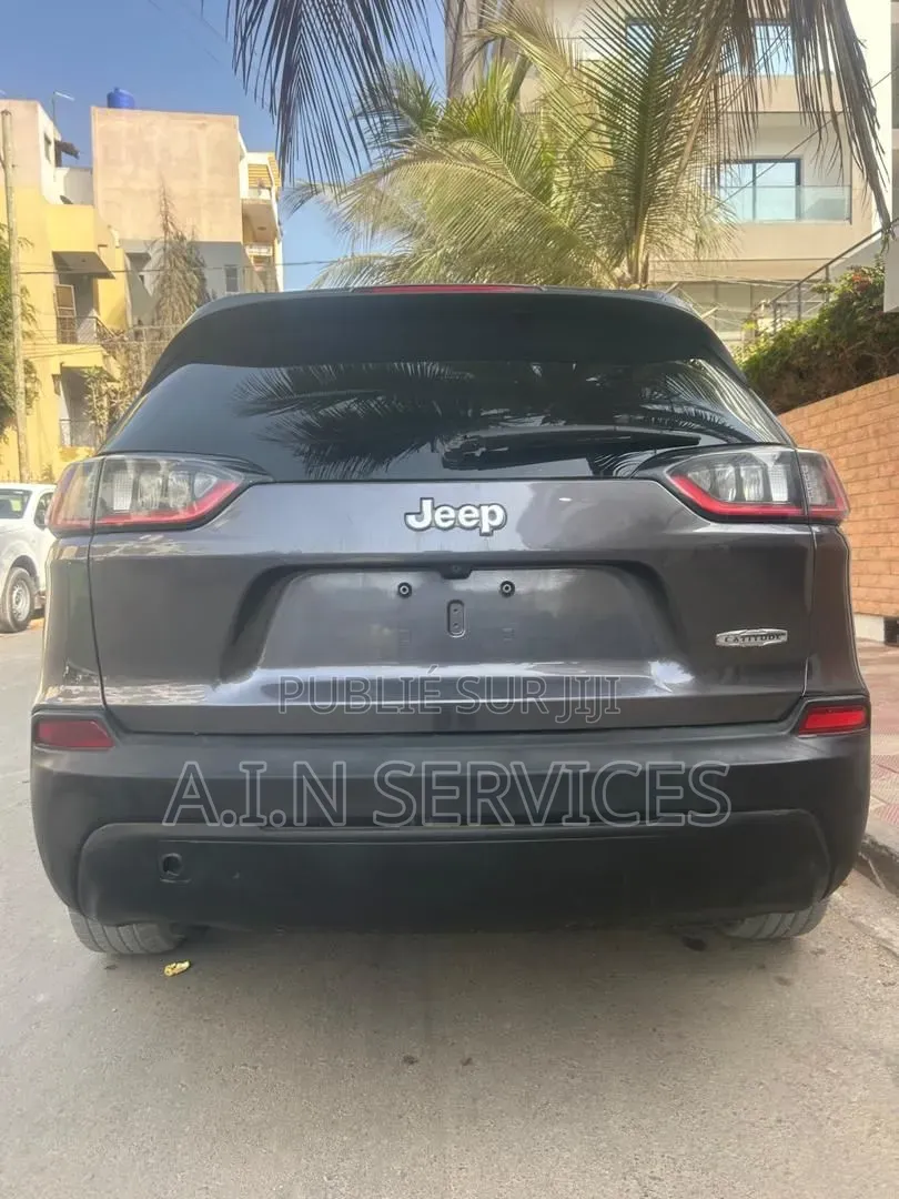 Jeep Cherokee 2019 Gris