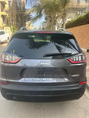 Jeep Cherokee 2019 Gris