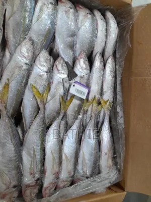 Poisson Frais en Gros À Prix Imbattables – Contactez-Nous !