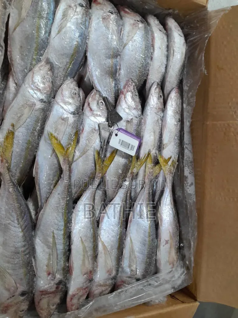 Poisson Frais en Gros À Prix Imbattables – Contactez-Nous !